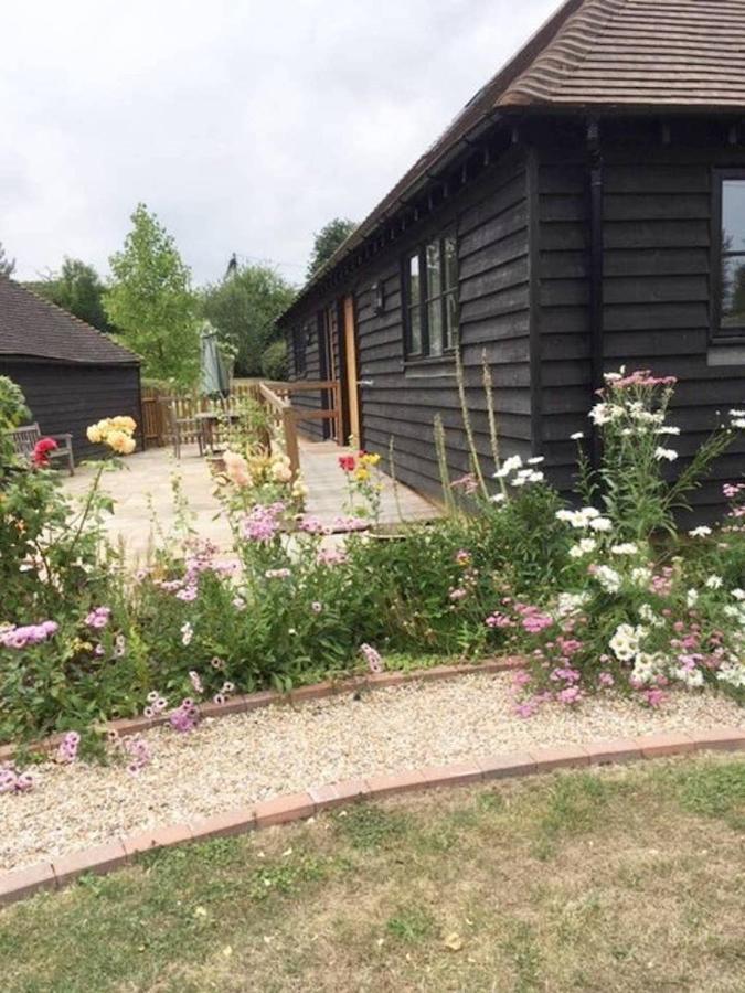 Orchard Cottage Кентърбъри Екстериор снимка